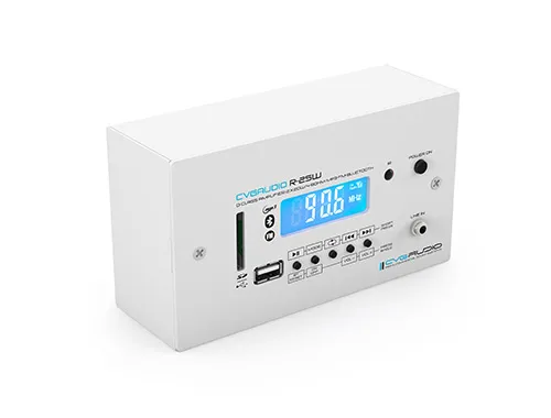 CVGAUDIO R-25W