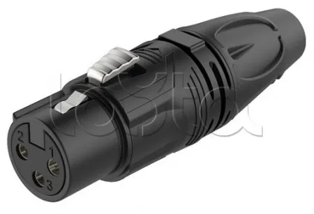 Купить ROXTONE RX3F-BT по выгодной цене в Москве