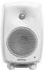 Купить Genelec 8030CW по выгодной цене в Москве