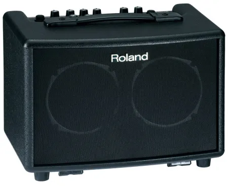 Купить ROLAND AC-33 по выгодной цене в Москве