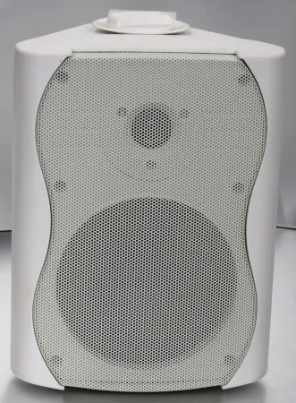 Купить SVS Audiotechnik WS-40 White по выгодной цене в Москве