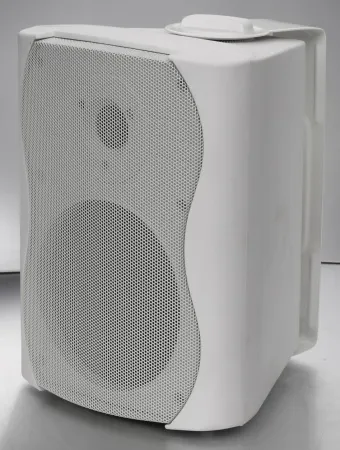 Купить SVS Audiotechnik WS-20 White по выгодной цене в Москве