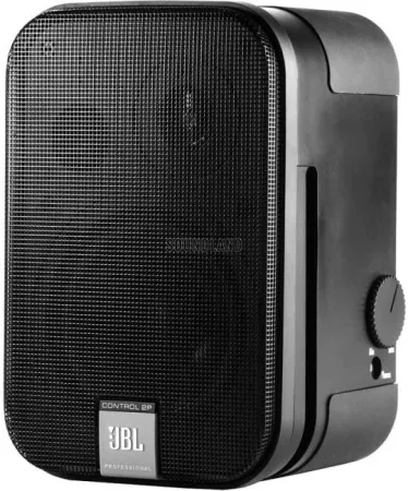 Купить JBL Control 2P/230 по выгодной цене в Москве