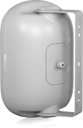 Купить Tannoy DVS 401-WH по выгодной цене в Москве