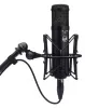Купить WARM AUDIO WA-47jr по выгодной цене в Москве