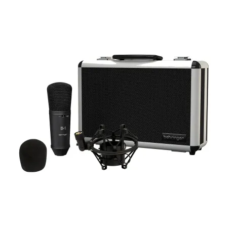 Купить BEHRINGER B-1 DARK EDITION по выгодной цене в Москве