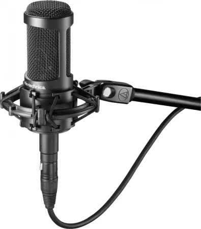 Купить Audio-Technica AT2035 по выгодной цене в Москве