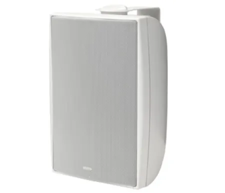 Купить TANNOY DVS 6 по выгодной цене в Москве