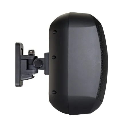Купить BIAMP MASK6CT-BL по выгодной цене в Москве