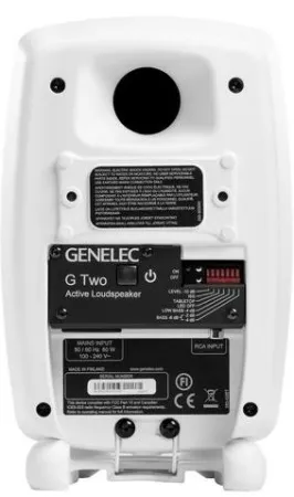 Купить Genelec G Two BWM по выгодной цене в Москве