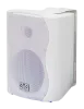 Купить SVS Audiotechnik WS-30 White по выгодной цене в Москве