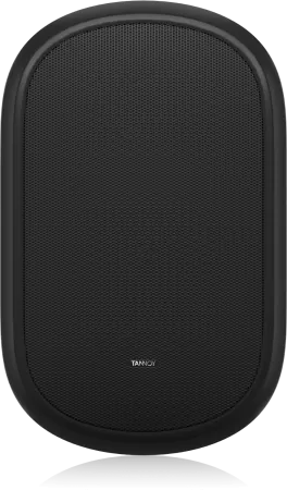 Купить Tannoy DVS 401 по выгодной цене в Москве