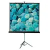 ViewScreen Clamp Pro (16:10) 175*111 (169*105) MW