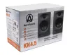 Купить AuraSonics KN4.5 по выгодной цене в Москве