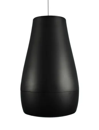 Купить BIAMP Desono P6 Black по выгодной цене в Москве