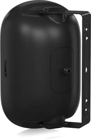 Купить Tannoy DVS 401 по выгодной цене в Москве