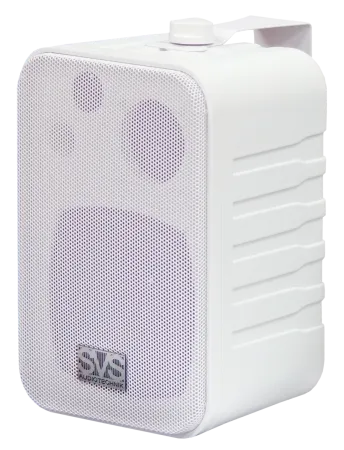 Купить SVS Audiotechnik WSM-20 White по выгодной цене в Москве