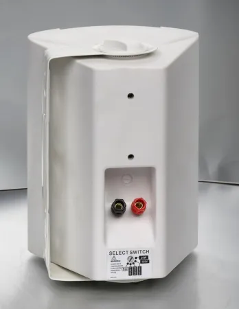Купить SVS Audiotechnik WS-20 White по выгодной цене в Москве