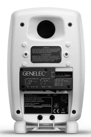 Купить Genelec 8020DWM по выгодной цене в Москве