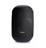 Купить BIAMP MASK6CT-BL по выгодной цене в Москве