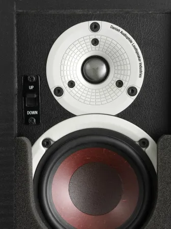 Купить DALI ALTECO C-1 [Black ASH] по выгодной цене в Москве