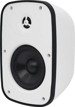 SVS Audiotechnik PAF-6W Pro