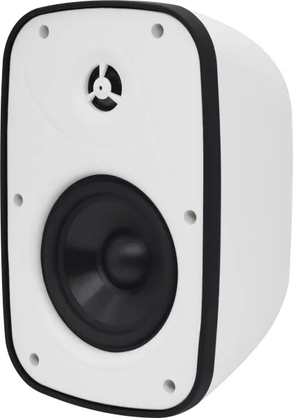 SVS Audiotechnik PAF-6W Pro