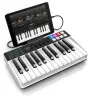 Купить IK MULTIMEDIA iRig Keys I/O 25 по выгодной цене в Москве