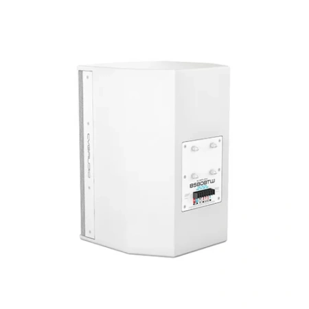 Купить CVGAUDIO BS808TW по выгодной цене в Москве