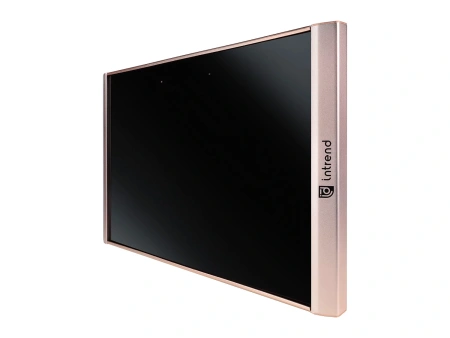 Купить Intrend ICS-IR-TX по выгодной цене в Москве