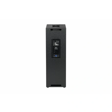 Купить DS Proaudio PLR SUB по выгодной цене в Москве