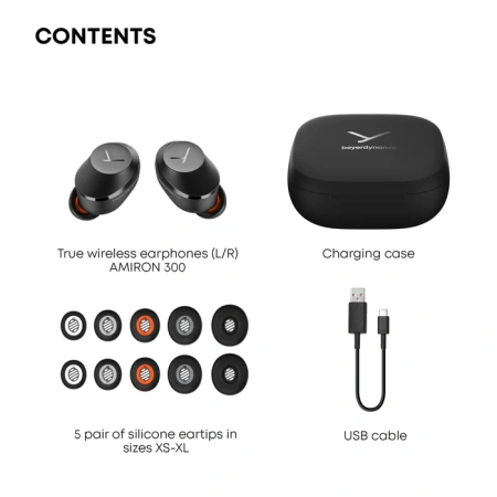 Купить Beyerdynamic Amiron 300 Black по выгодной цене в Москве