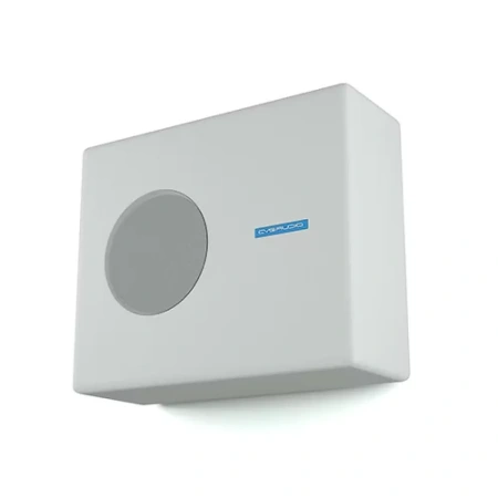 Купить CVGAUDIO SUBone model B-8W/CR/T по выгодной цене в Москве