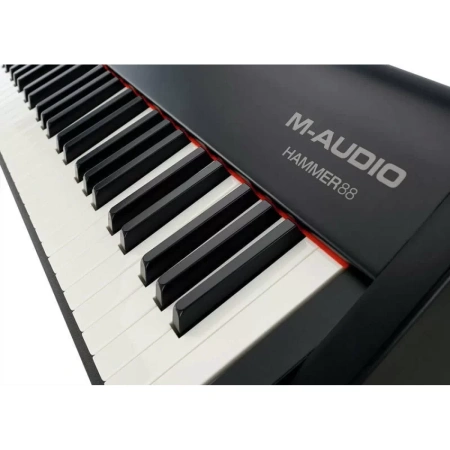 Купить M-audio Hammer 88 по выгодной цене в Москве
