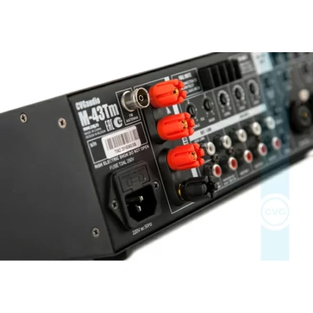 Купить CVGAUDIO M-43Tm по выгодной цене в Москве