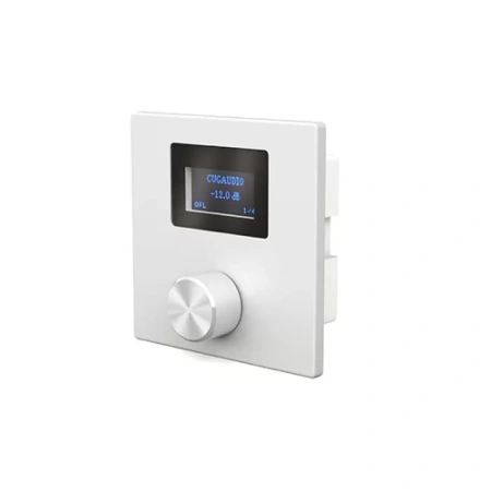 Купить CVGAUDIO P-ZONER-W/IP/A по выгодной цене в Москве