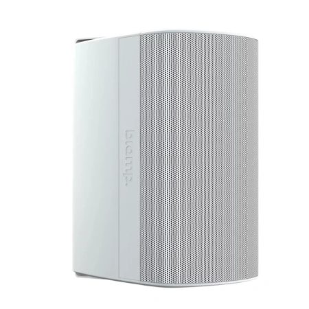 Купить Biamp Desono DX-S8-UB-W White по выгодной цене в Москве