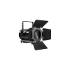Купить LightCraft Fresnel 300 ZOOM CW/WW по выгодной цене в Москве