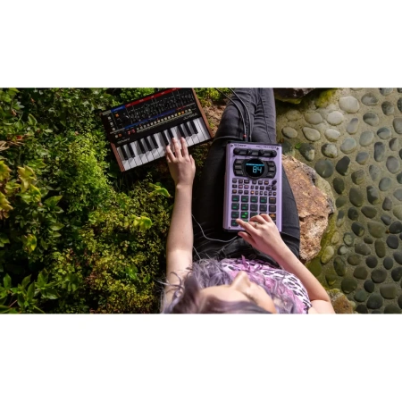 Купить ROLAND SP-404MKII по выгодной цене в Москве